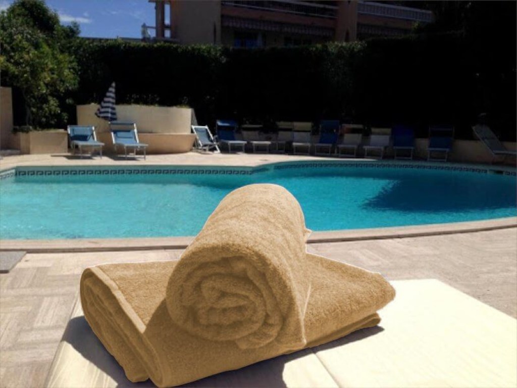 Πετσέτα Πισίνας Ξενοδοχείου Μπεζ Βαμβακερή 450gsm Γαρύφαλλο 80x160 | Γαρύφαλλο - Λευκά Είδη